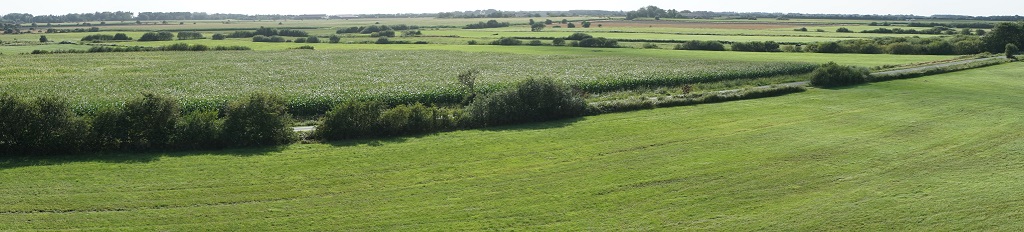 Rundblick von der Lembecksburg in Borgsum